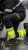 Ubranie zimowe robocze — komplet kurtka softshell Comfort Neo 8000 mm + spodnie ocieplane Comfort Neo Winter